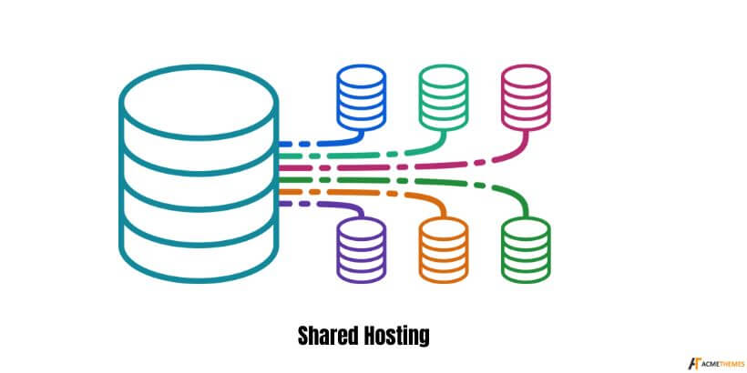 Shared Hosting-Shared-Hosting-VS-WordPress-Hosting:-Welche-ist-die-bessere-Option?