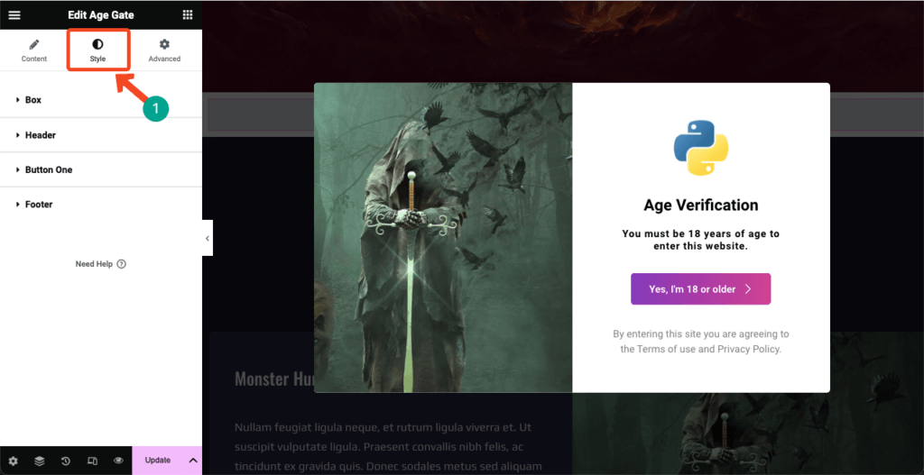 So fügen Sie WordPress mit Elementor 11 eine Altersverifizierung hinzu Stylize the Age Verification form
