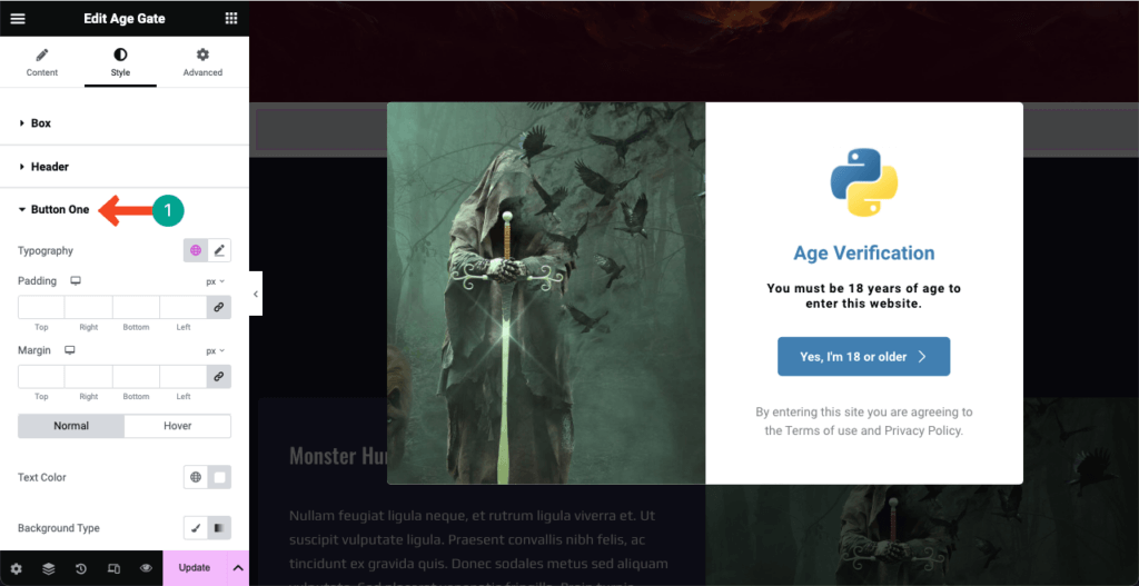 So fügen Sie mit Elementor 14 eine Altersverifizierung zu WordPress hinzu Stylize the Age Verification form button