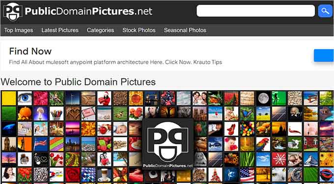 Sito Web di immagini di pubblico dominio Public Domain Pictures website