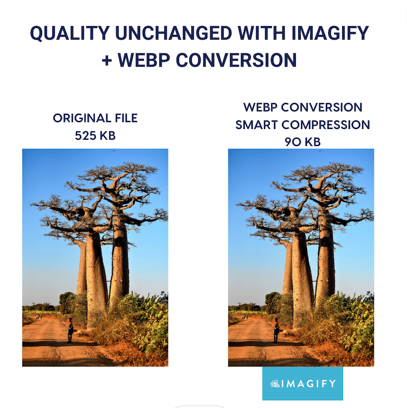 Taille de fichier plus petite et conversion WebP mais qualité intacte - Source : Imagify