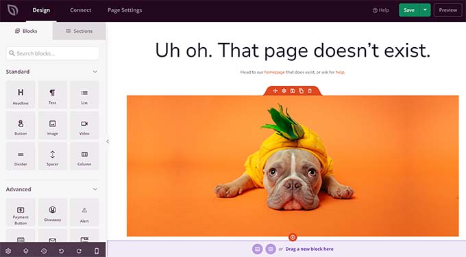 SeedProd를 사용하여 404 페이지 만들기 Create 404 page using SeedProd