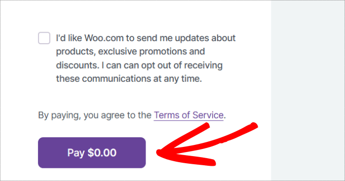 ปุ่มชำระเงิน Pay button