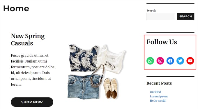 Un esempio di come appare il widget Icone Social sul sito web An example of what the Social Icons widget looks like on the website