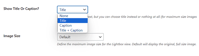 Konfigurasikan judul dan ukuran gambar untuk galeri Configure image title and size for the gallery