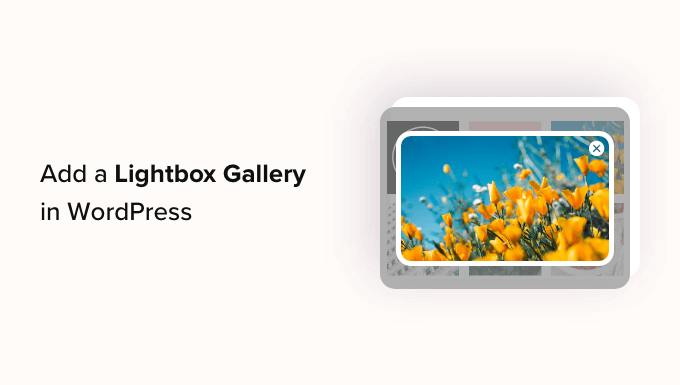 Tambahkan Galeri di WordPress dengan Efek Lightbox Add a Gallery in WordPress with a Lightbox Effect