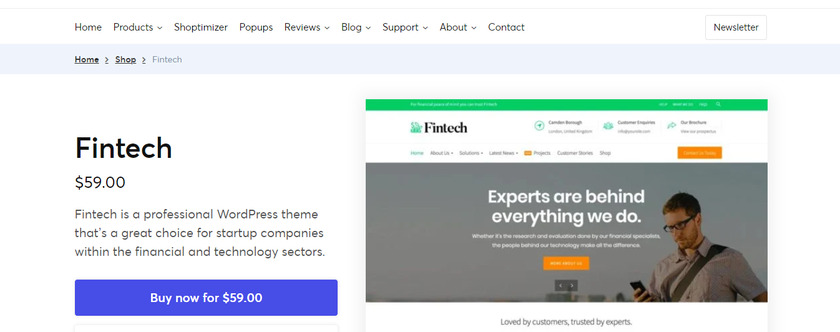 tema fintech-wp