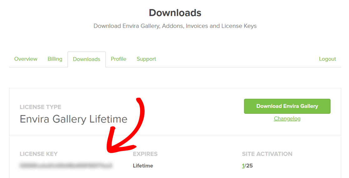 Copy your Envira Gallery license key from the account area