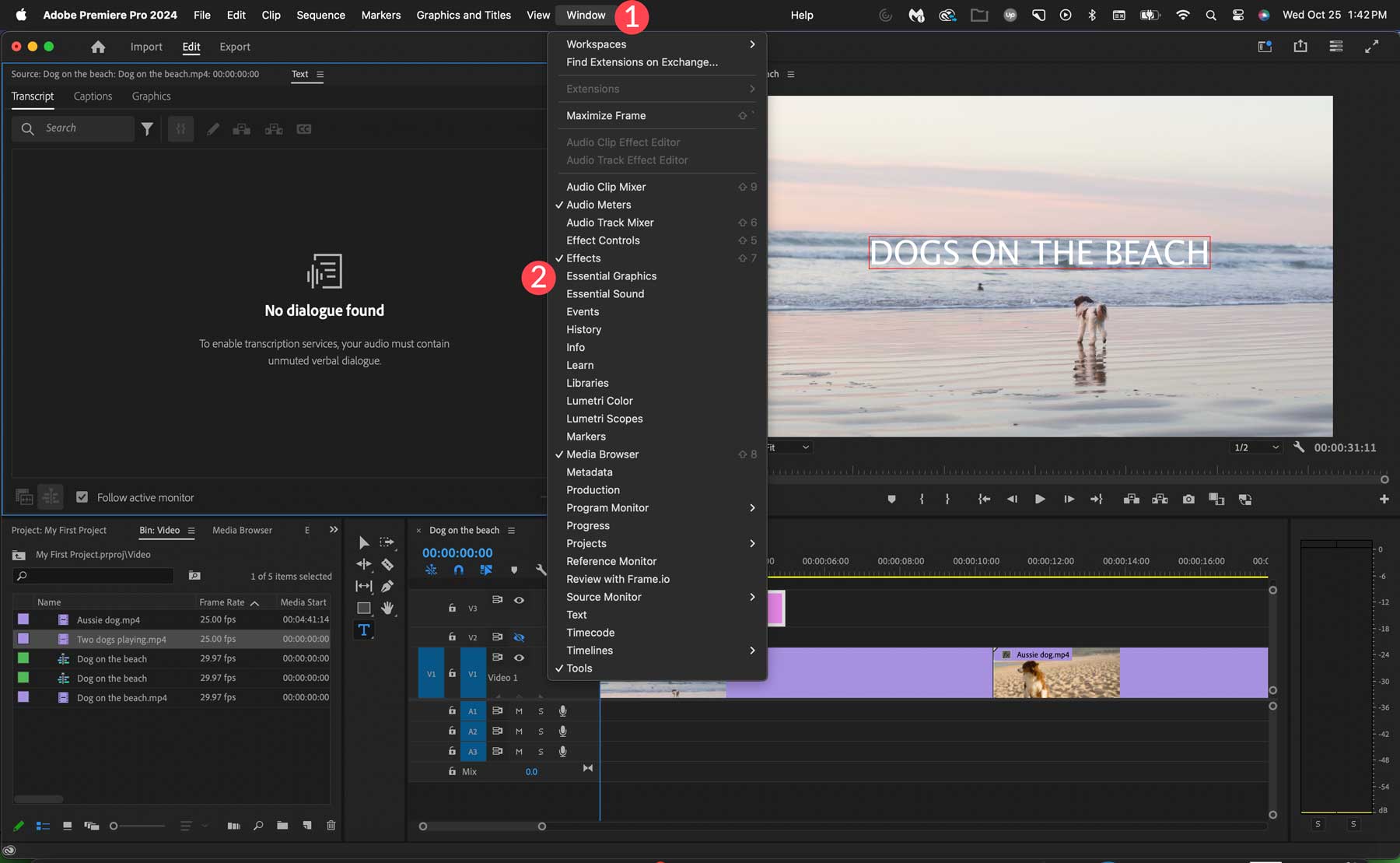 Panoul grafic Adobe Premiere Pro
