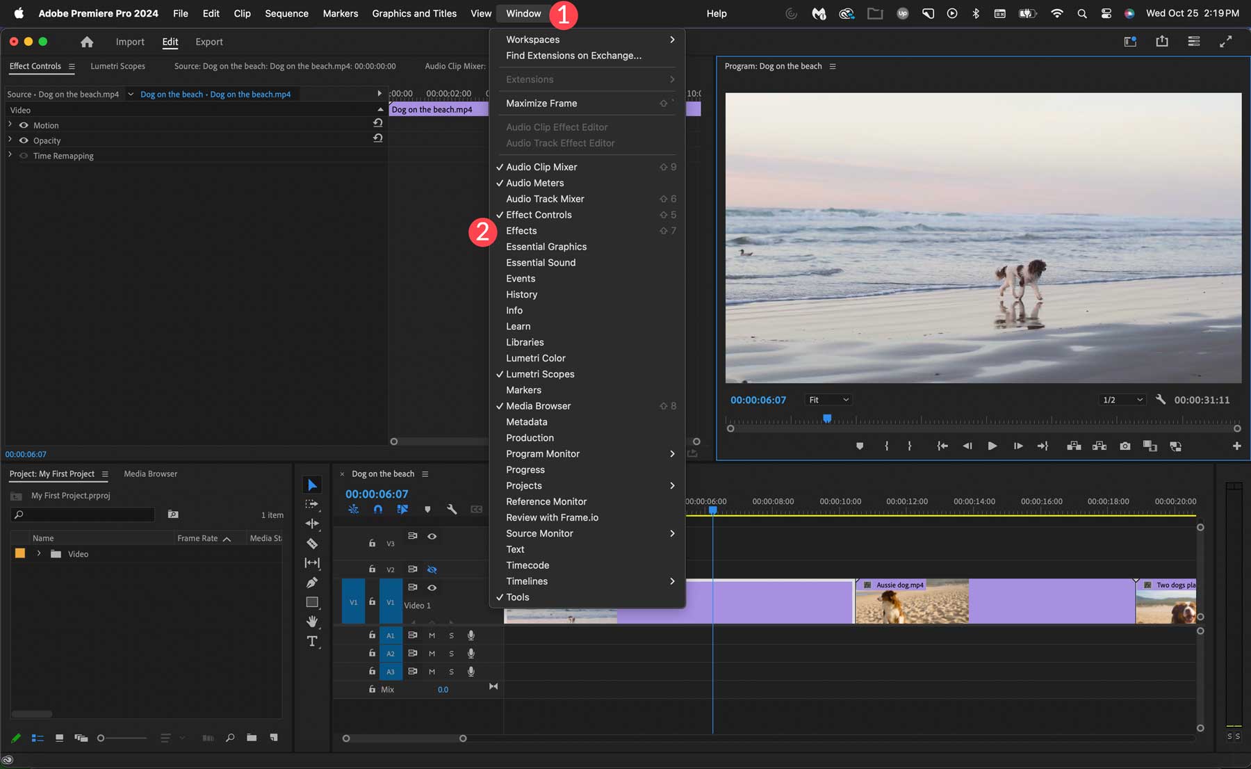 Efecte Adobe Premiere Pro
