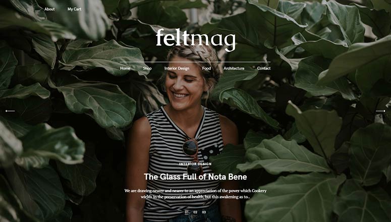Fieltro - IsItWP - Detector de temas de WordPress gratuito Felt