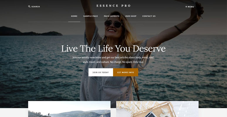 Essence Pro - IsItWP - Detector de temas de WordPress gratuito Essence Pro