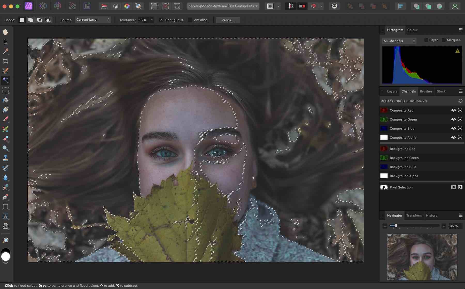 Pengeditan gambar format Affinity Photo RAW