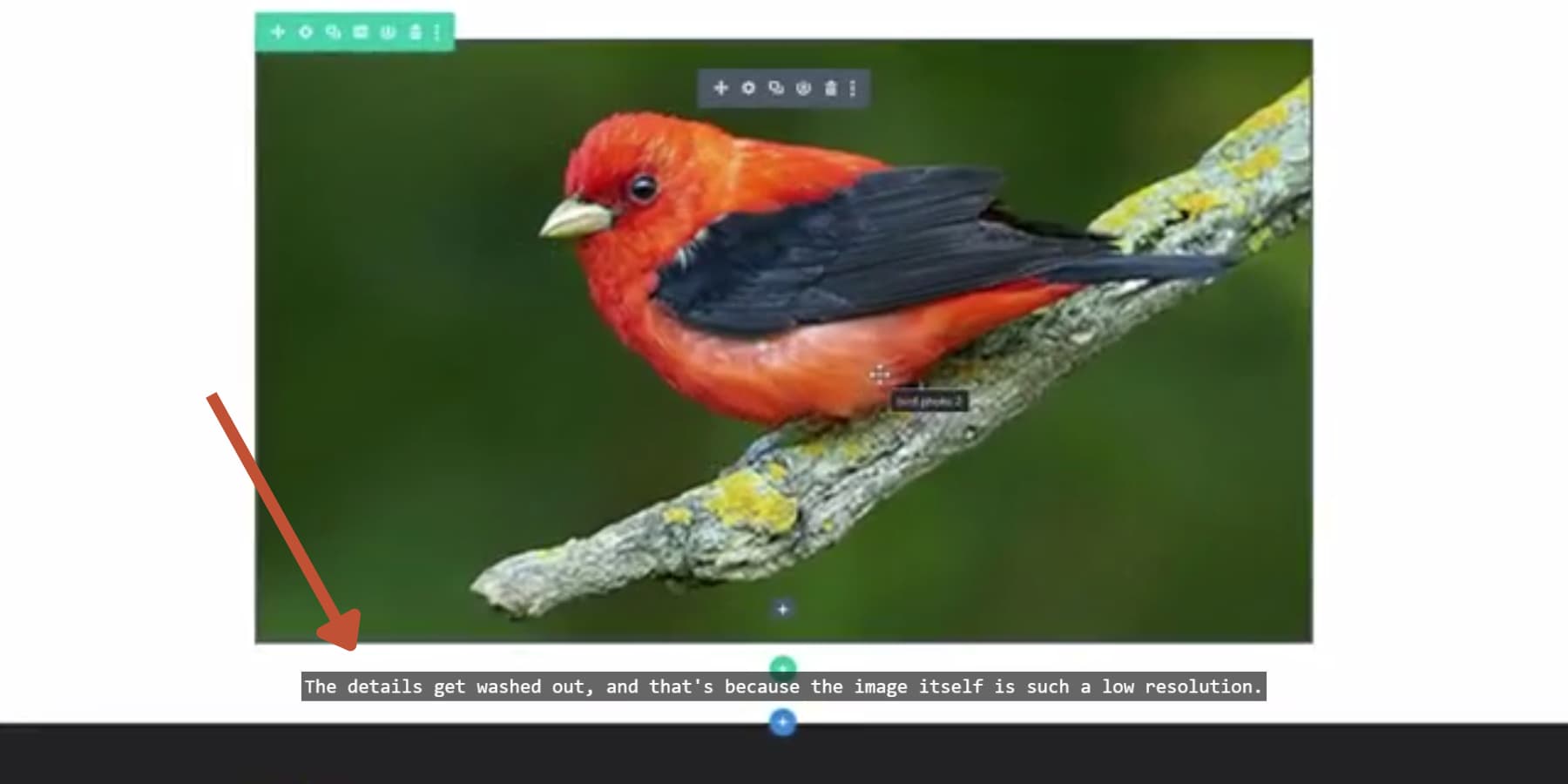 字幕を追加する Rev の AI のスクリーンショット