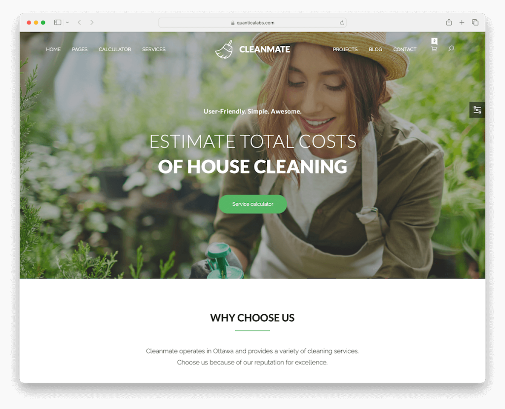 modello di sito web tuttofare cleanmate