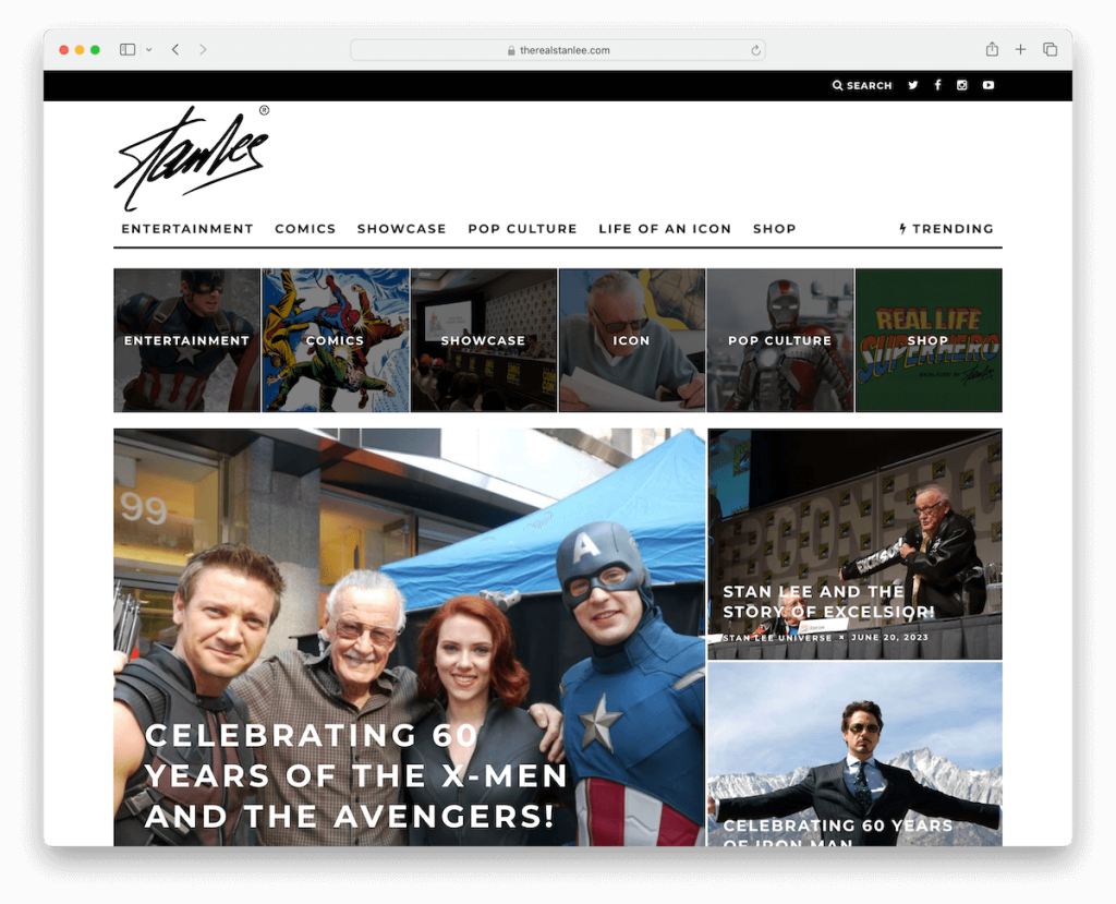 il vero Stan Lee