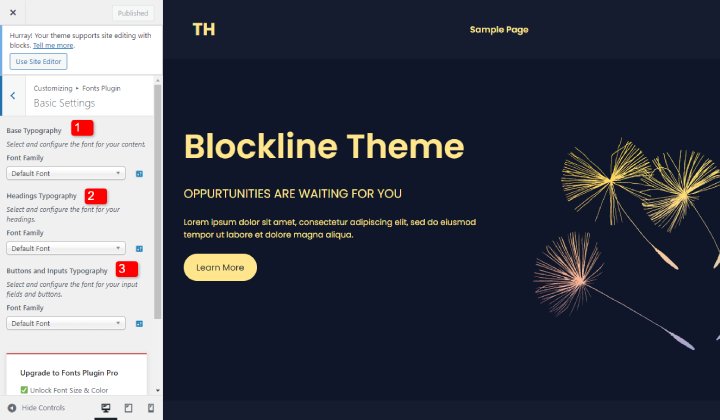 Come cambiare il carattere in WordPress (guida dettagliata) 15 fonts 17