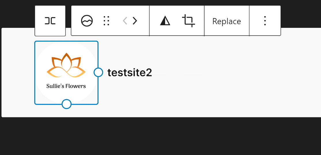 resize dots for site logo