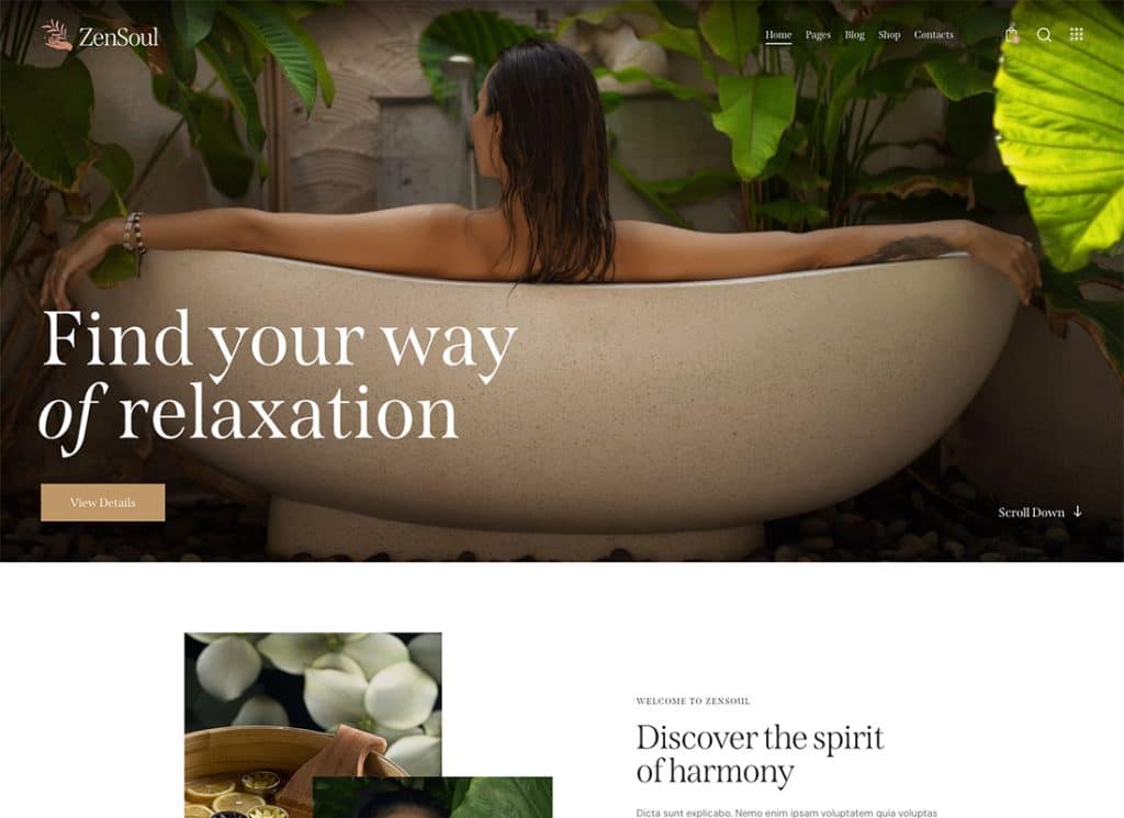 ZenSoul - Tema de WordPress para salón de spa y bienestar