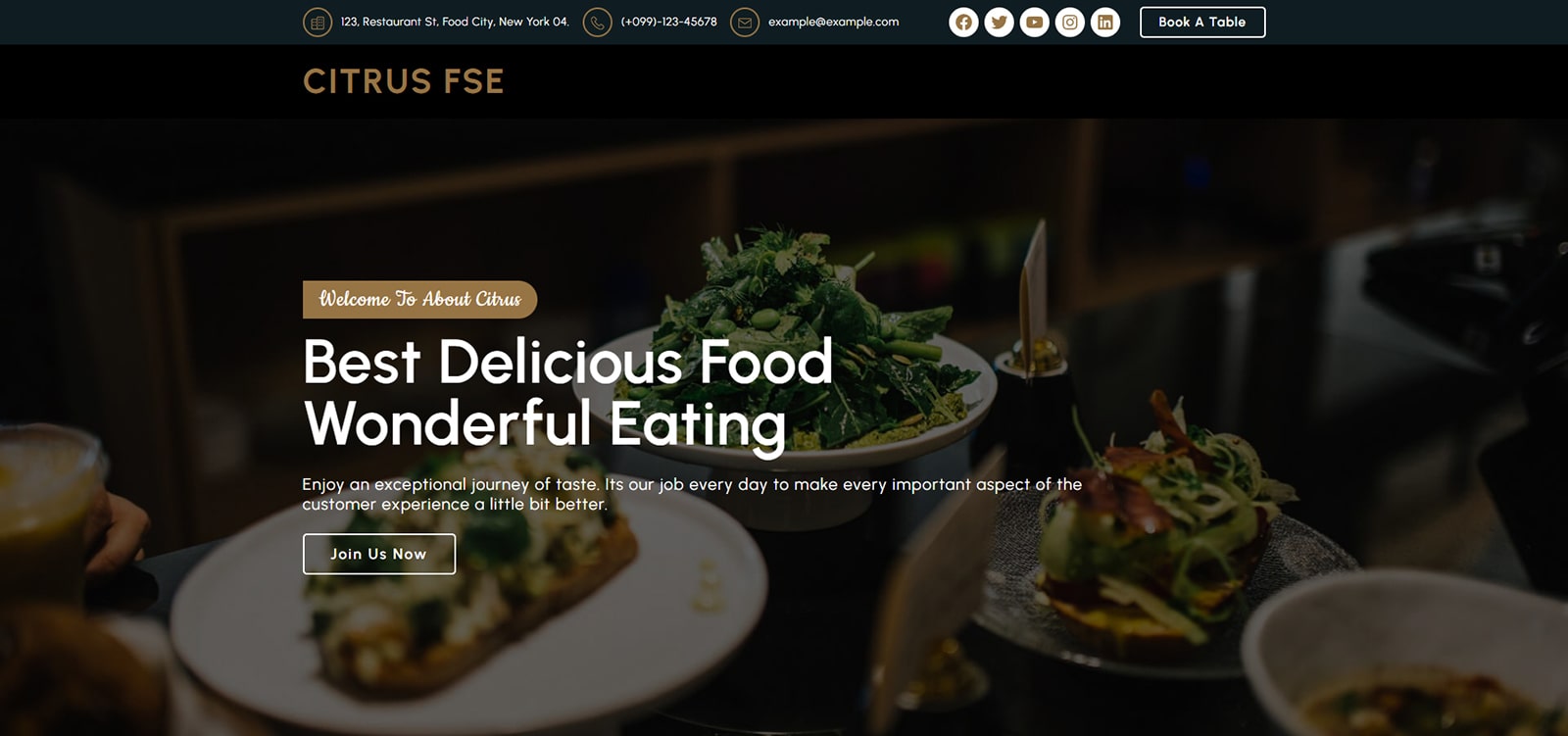 Citrus FSE 的圖片，這是一個用於全網站編輯的免費互動式 WordPress 主題。