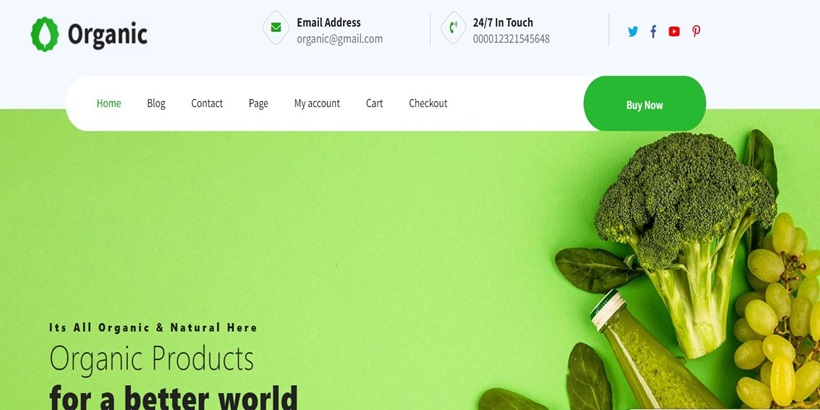 Sürdürülebilir Web Siteleri için Organik-Yeşil-Bloklar-Ücretsiz-Yeşil-Enerji-WordPress Temaları
