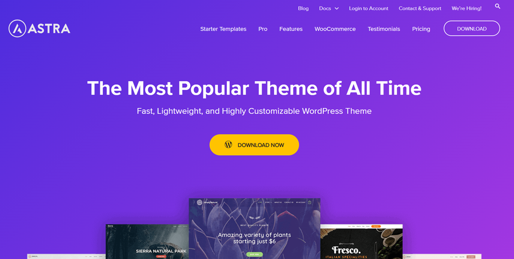 15+ beste WordPress-Themes für Blogs, E-Commerce und Business 3 Best WordPress Themes
