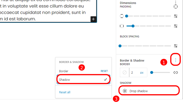 13 najlepszych funkcji dostępnych w WordPress 6.5 ze zrzutami ekranu 6 Drop Shadow
