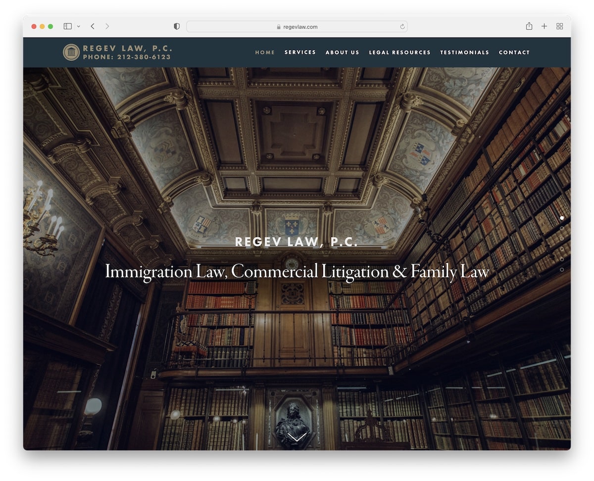 Regev-Law-Website