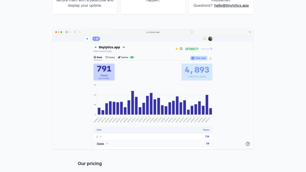 Screenshot der Landingpage für das WordPress-Plugin Tinylytics Example of a dashboard in the Tinylytics WordPress plugin