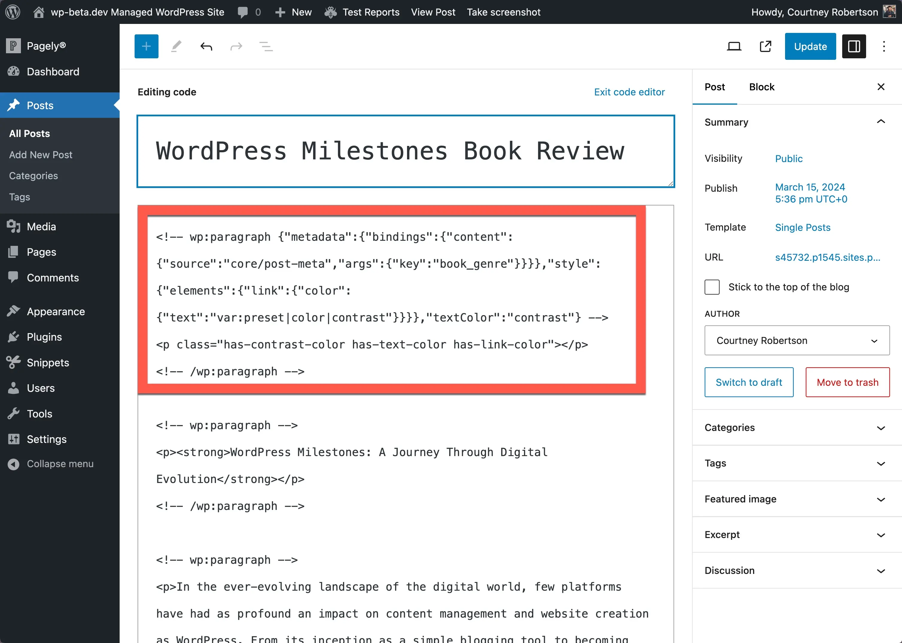 Editor de postagem do WordPress na visualização do editor de código. Na parte superior está o código necessário para exibir o campo personalizado com uma caixa vermelha aparecendo ao redor dele para demonstrar a que lugar ele pertence.