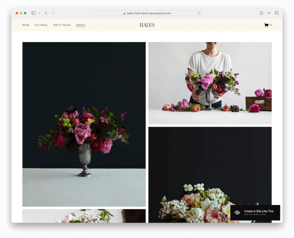 modèle de portfolio Hales Squarespace