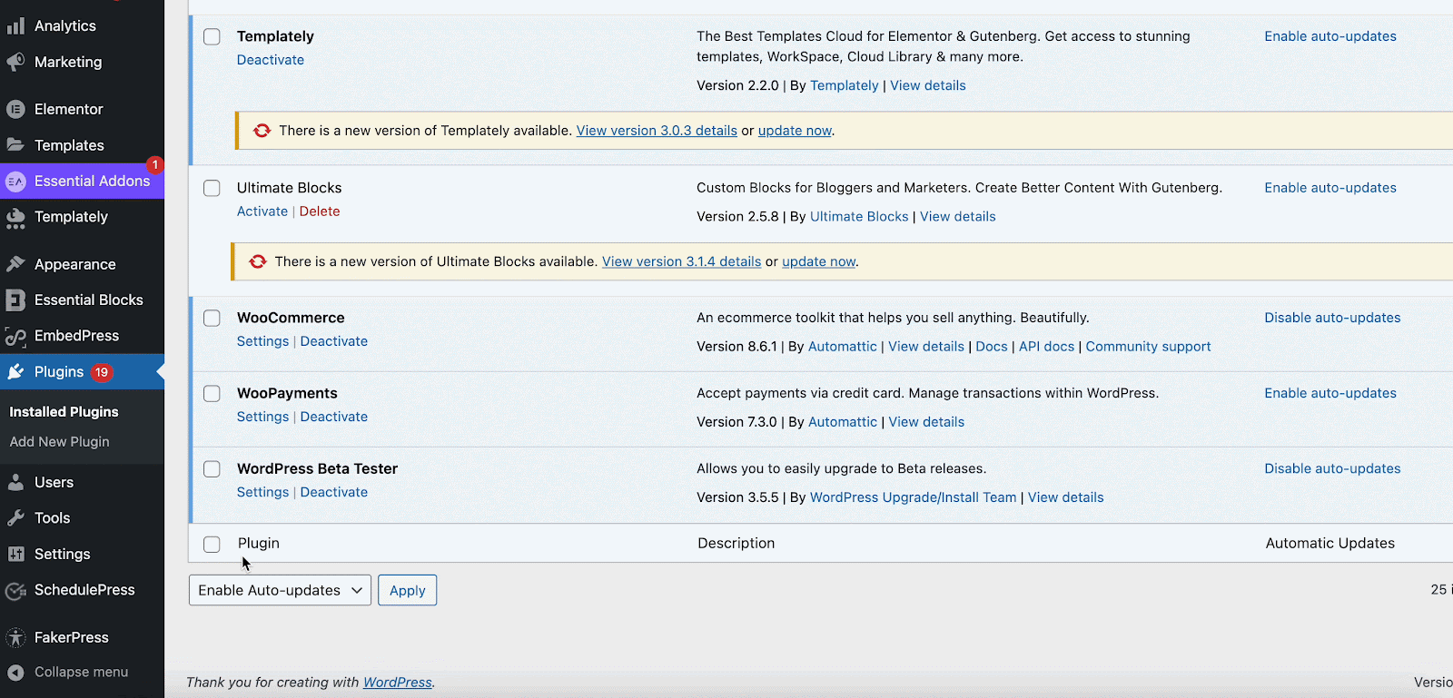 ผู้ทดสอบเบต้า WordPress WordPress beta tester