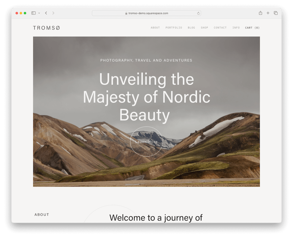 plantilla de artistas de tromso squarespace