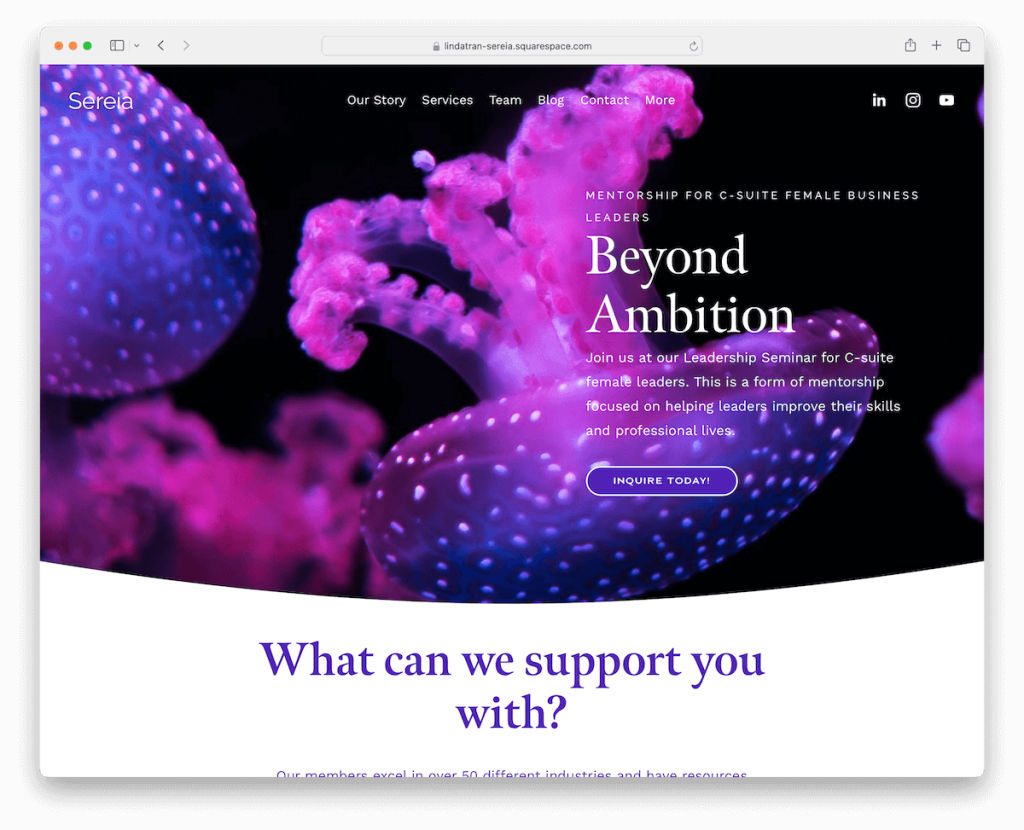 sereia squarespace koçluk şablonu