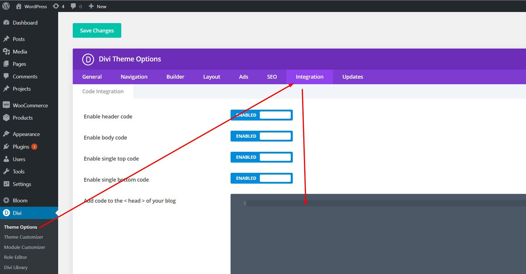 Opciones del tema Divi - Pestaña Integraciones