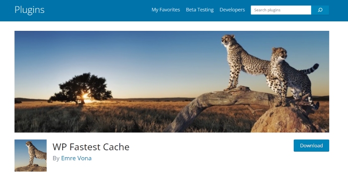 8+ Plugin Cache Terbaik untuk Situs Web WooCommerce 1 WP Fastest Cache