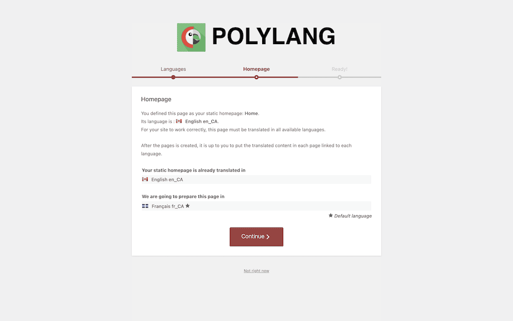 Polylanf 入门向导显示有关主页翻译的信息。