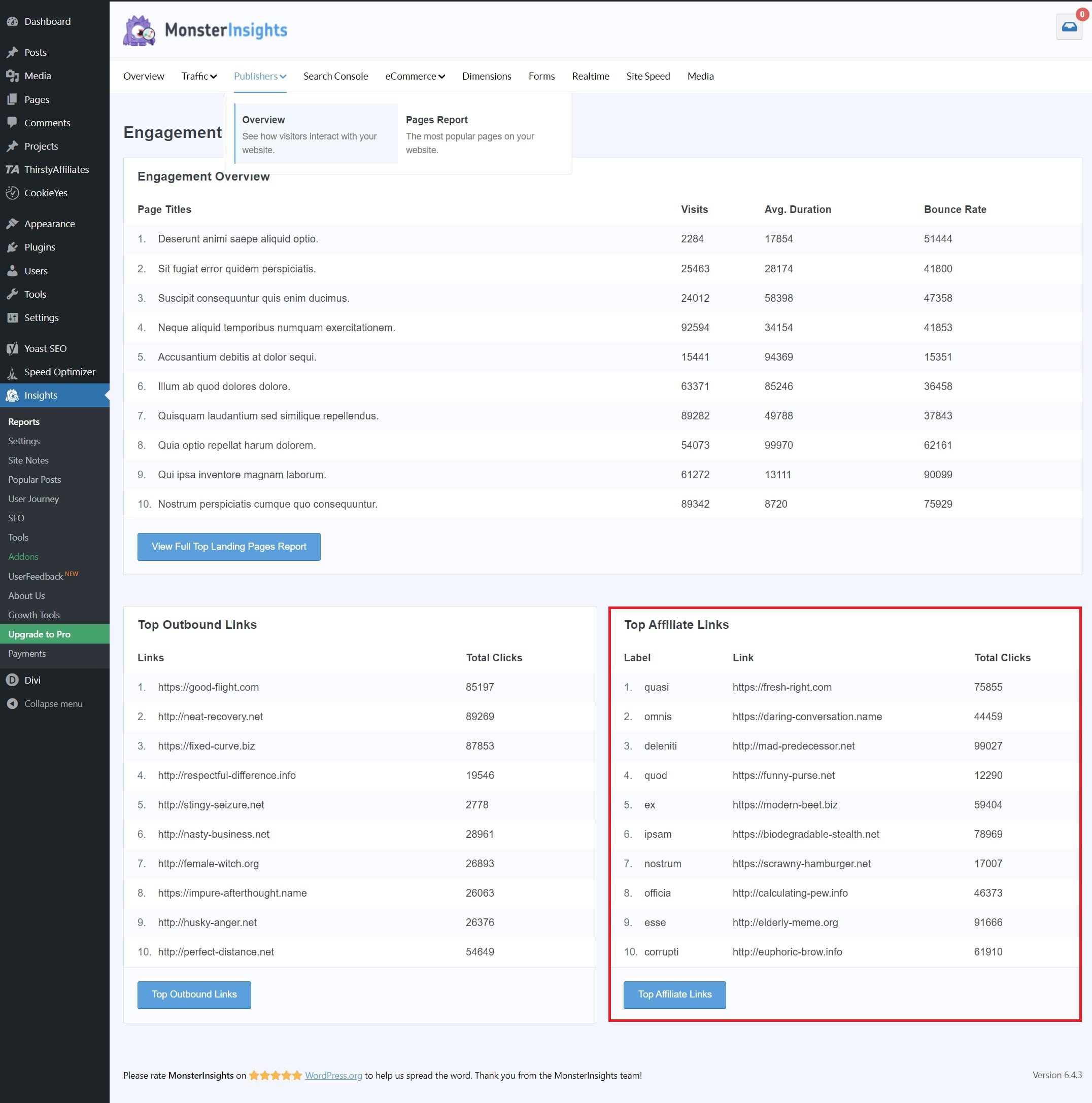 Monsterinsights 제휴사 링크