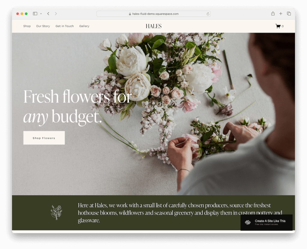 hales squarespace 模板店