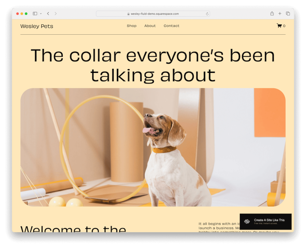 韦斯利 squarespace 电子商务模板