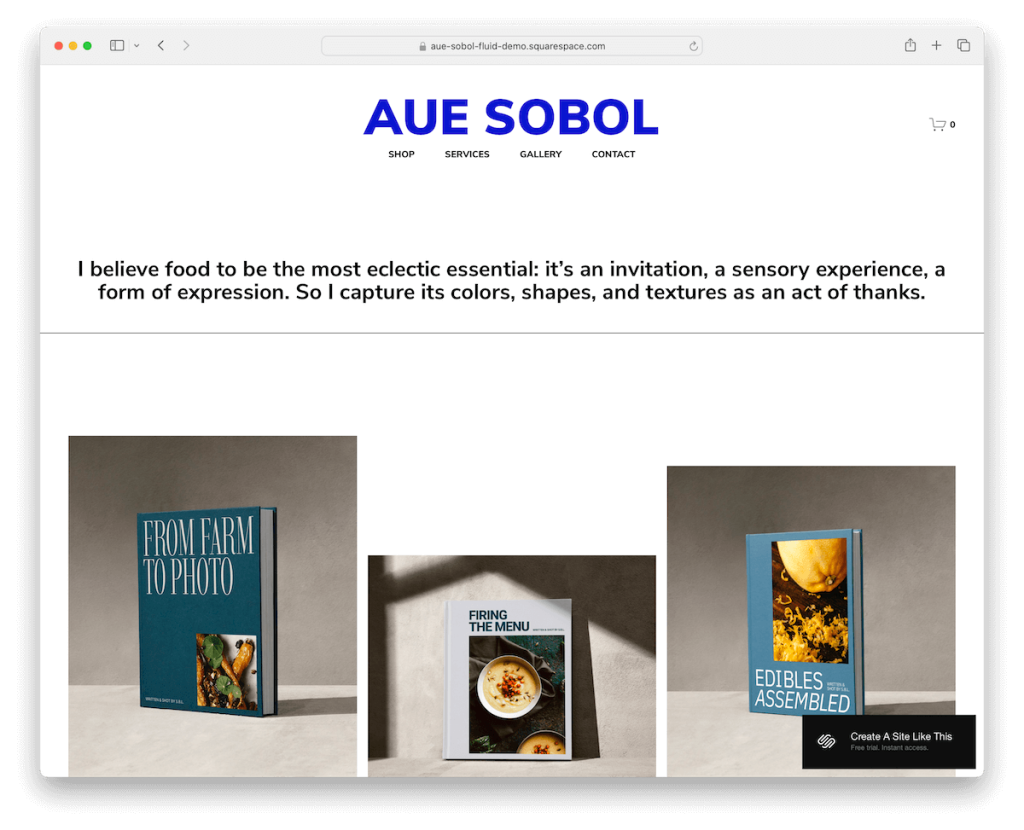 loja de modelos de squarespace aue sobol