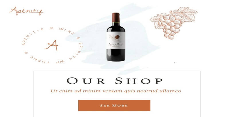 Apéritif-Meilleurs-thèmes-WordPress-alcool-pour-acheter-et-vendre