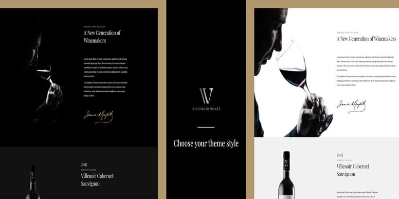 Villenoir-Meilleurs-thèmes-WordPress-alcool-pour-acheter-et-vendre