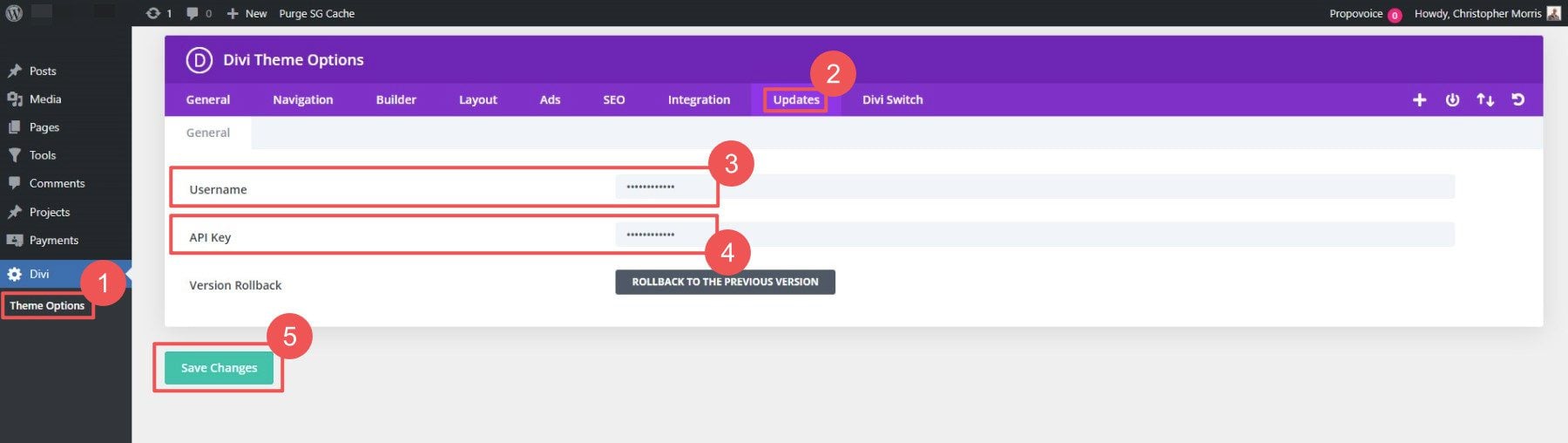 Divi cole ONU e API no painel de atualizações