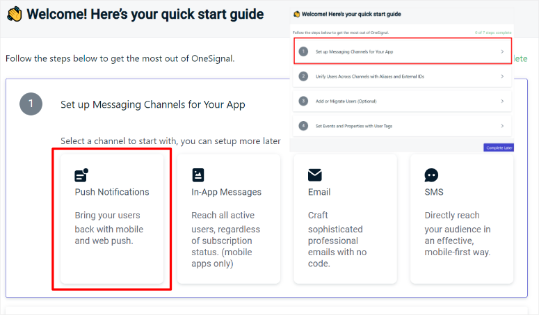 onesignal-快速指南 - IsItWP - 免费 WordPress 主题检测器 onesignal quick guide
