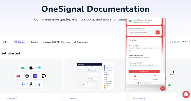 onesignal-documentation - IsItWP - 免费 WordPress 主题检测器 onesignal documentation