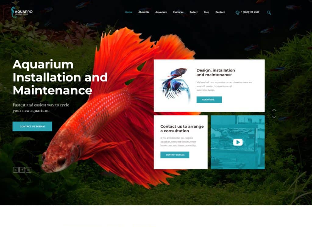 AquaPro - Tema + tienda de WordPress para acuarios y servicios de mantenimiento