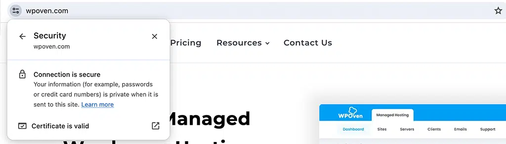 SSLとは何ですか?安全な Web サイトへのガイド 6 Padlock icon showed with the websites