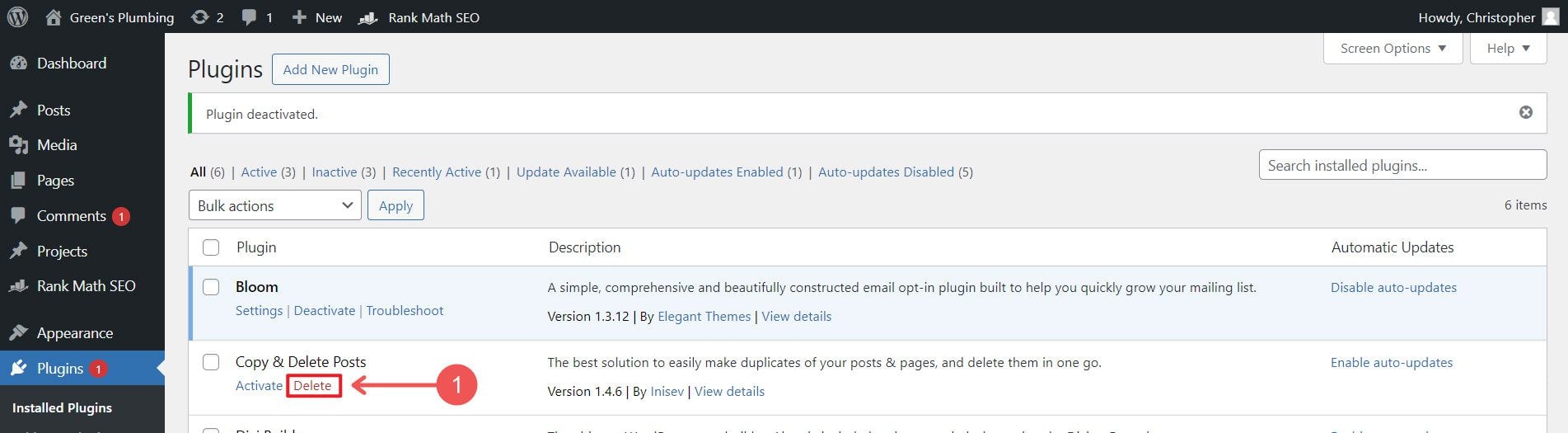 Desactivar y eliminar un complemento de WP