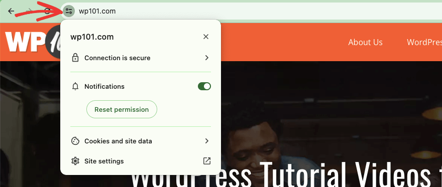Icona SSL nel browser